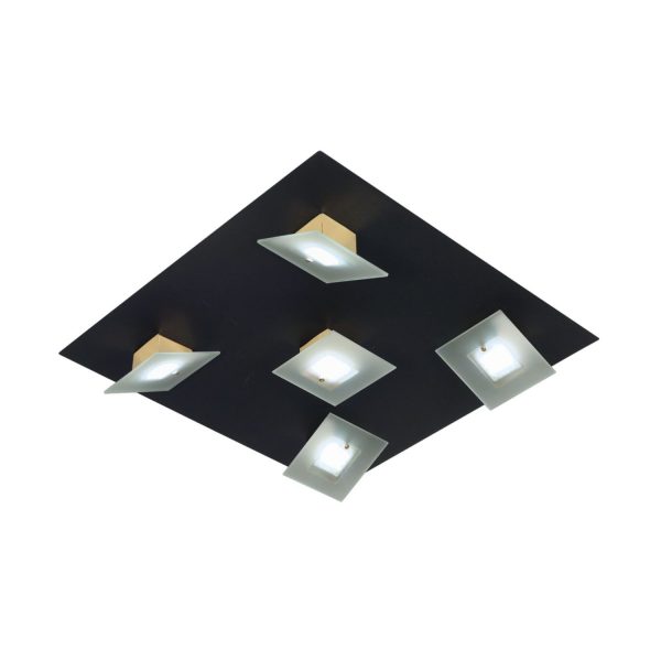 Plafon Wit de 5 luces led negro