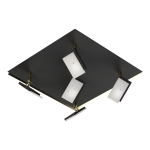 PLAFON RAYO CUADRADO 5 luces Negro/Oro led
