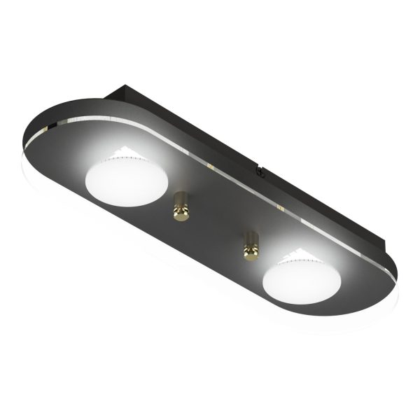 Plafon Charly 2 luces Negro con led